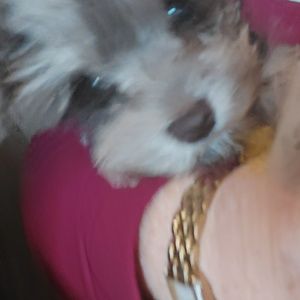 Meet your Posher, Lisa